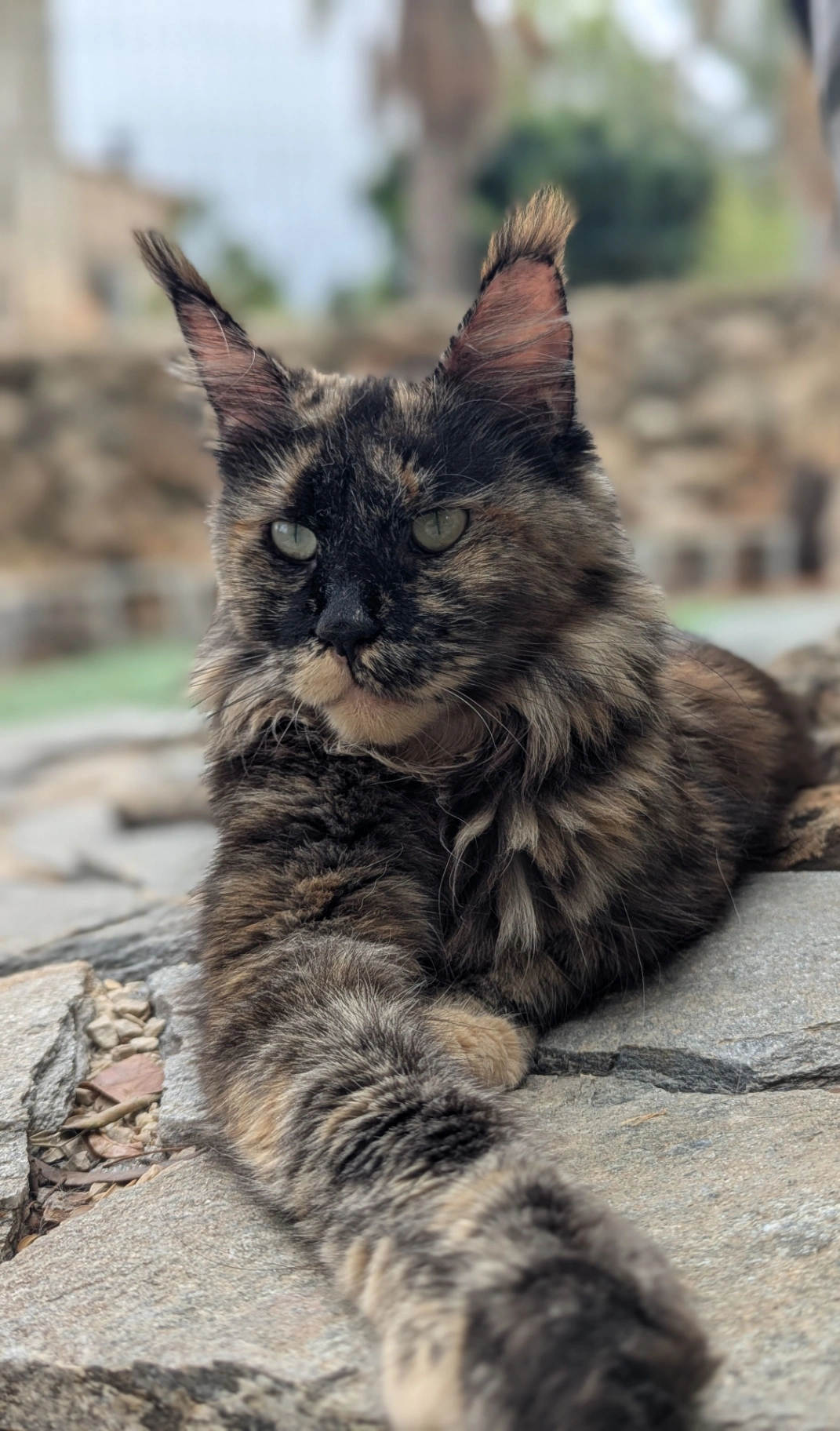 Pelageya Volga Pride thumbnail 5