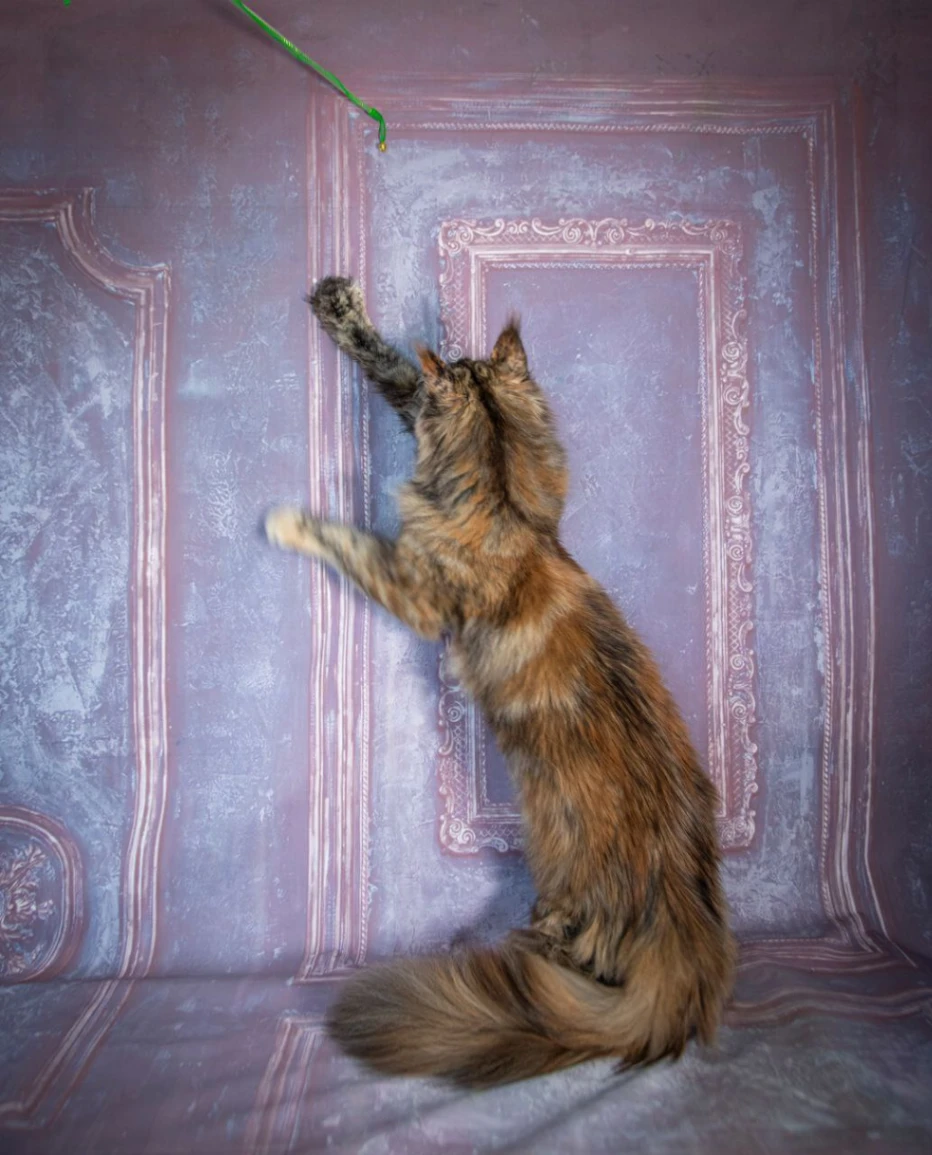 Pelageya Volga Pride thumbnail 9