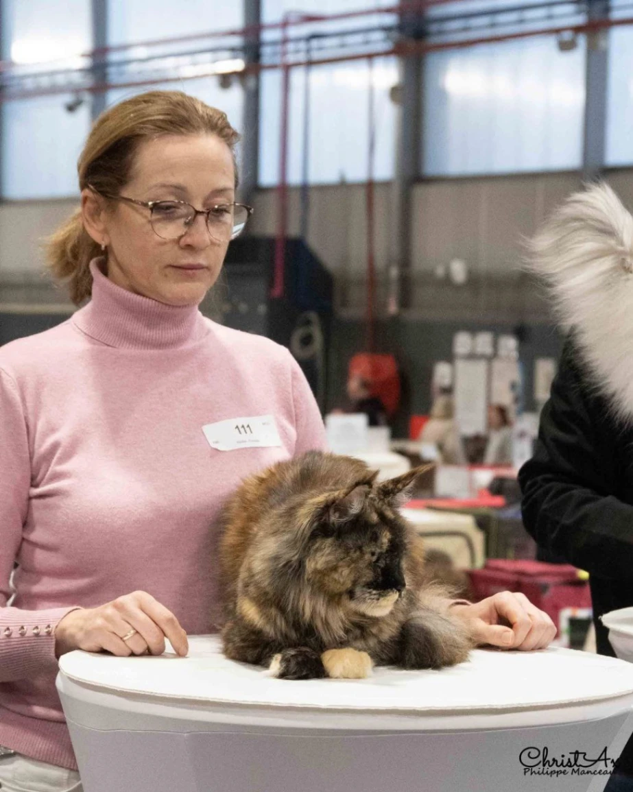 Pelageya Volga Pride thumbnail 13