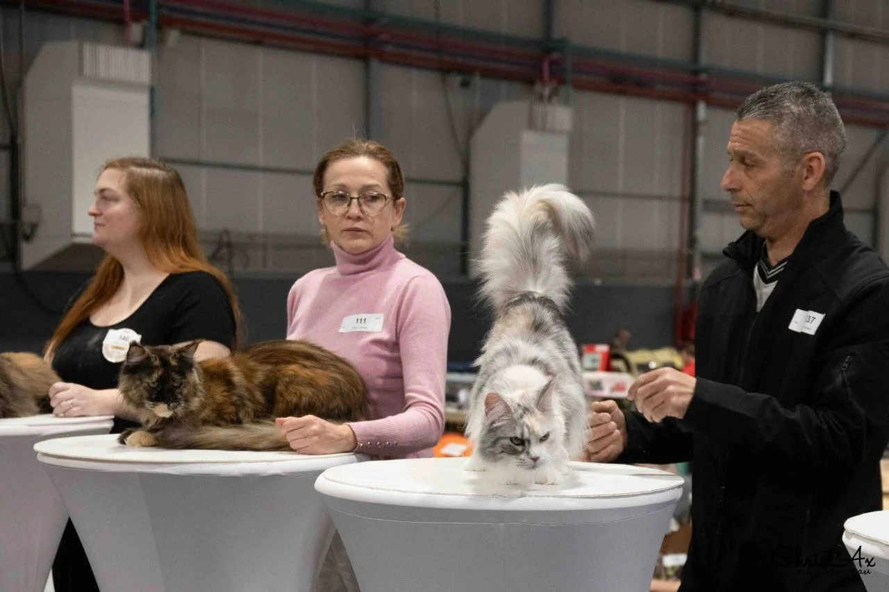 Pelageya Volga Pride thumbnail 14