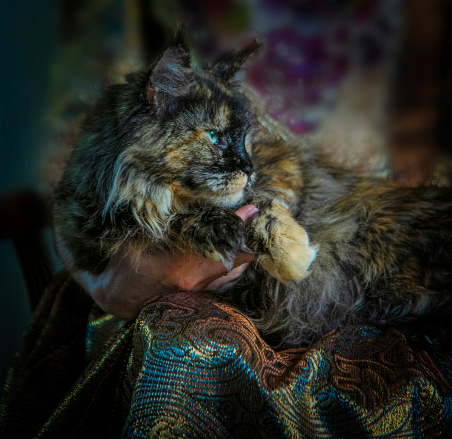 Pelageya Volga Pride thumbnail 16