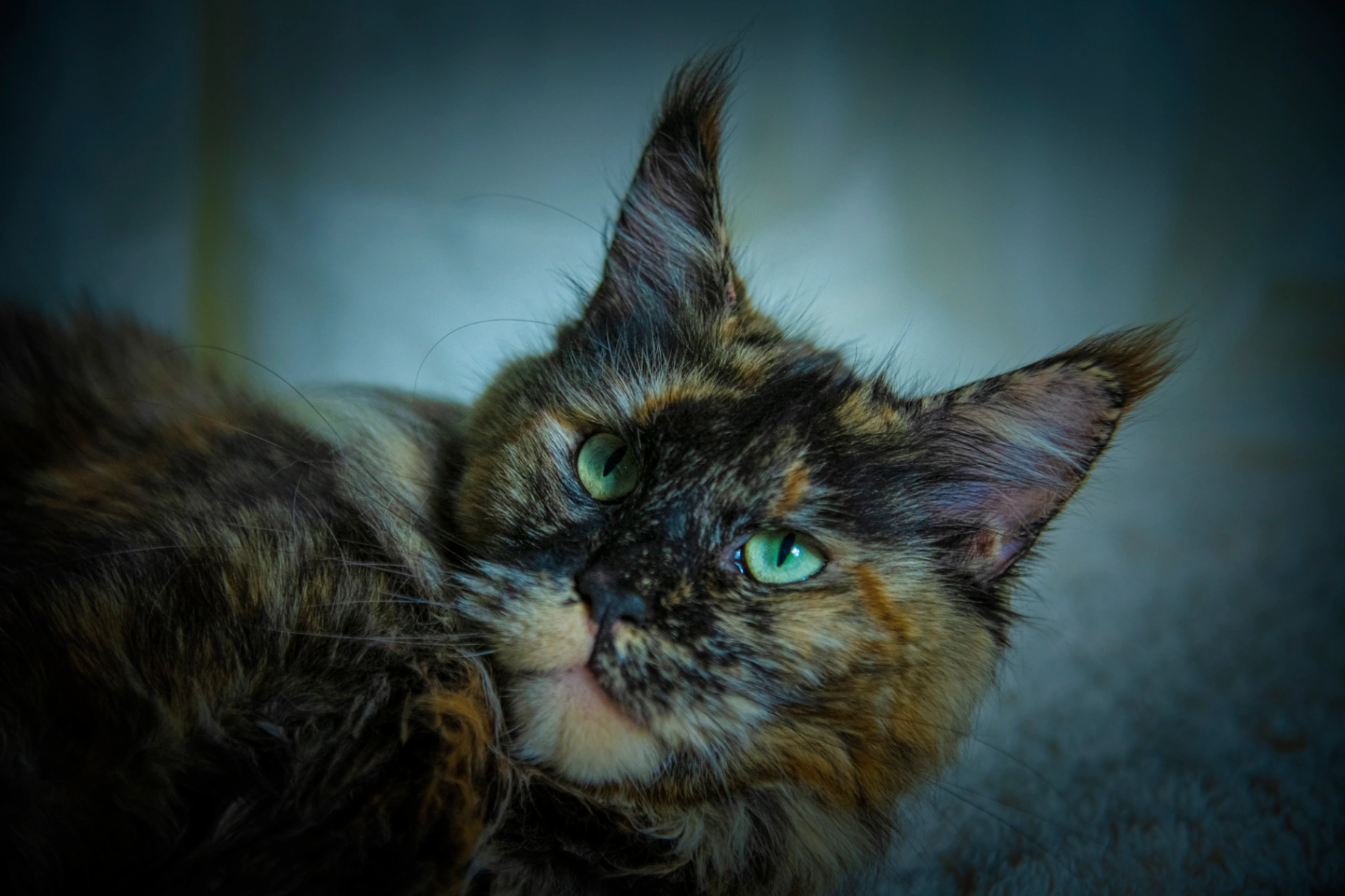 Pelageya Volga Pride thumbnail 18