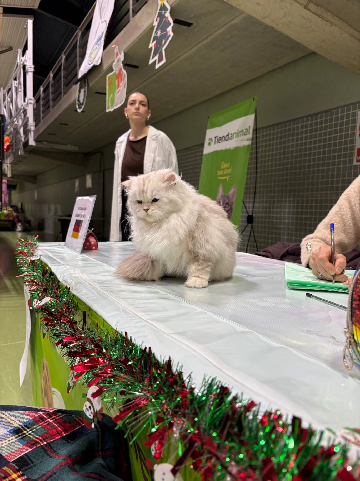 Wendy Bonton Pride thumbnail 2