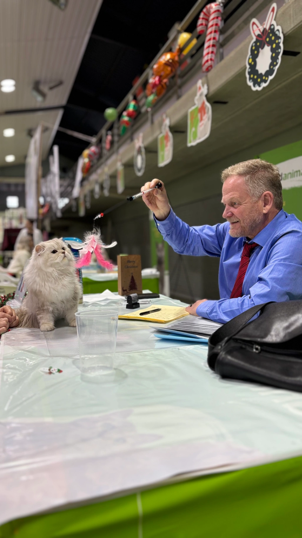 Wendy Bonton Pride thumbnail 3