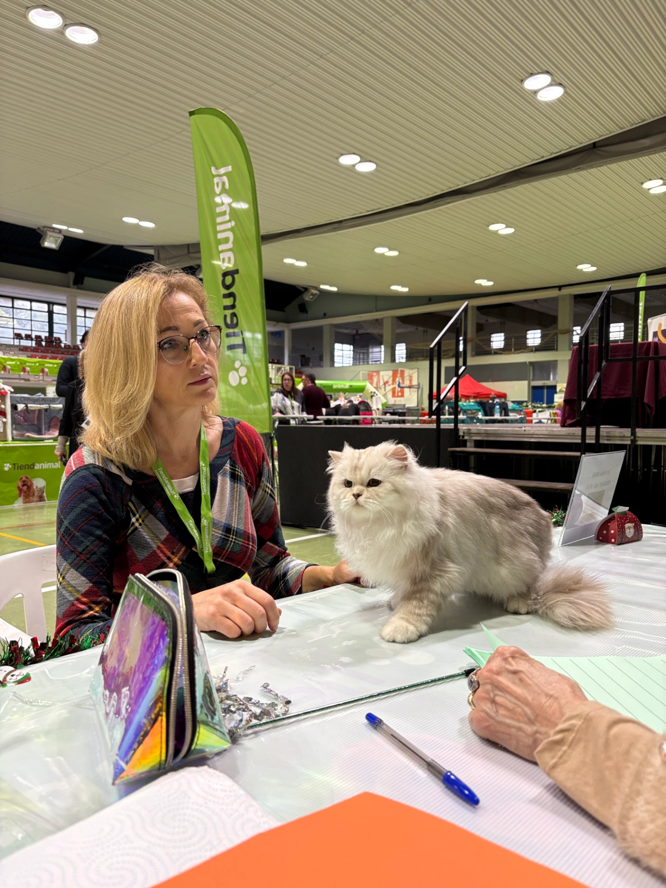 Wendy Bonton Pride thumbnail 6