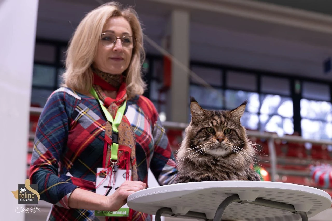 Oskar Volga Pride thumbnail 8