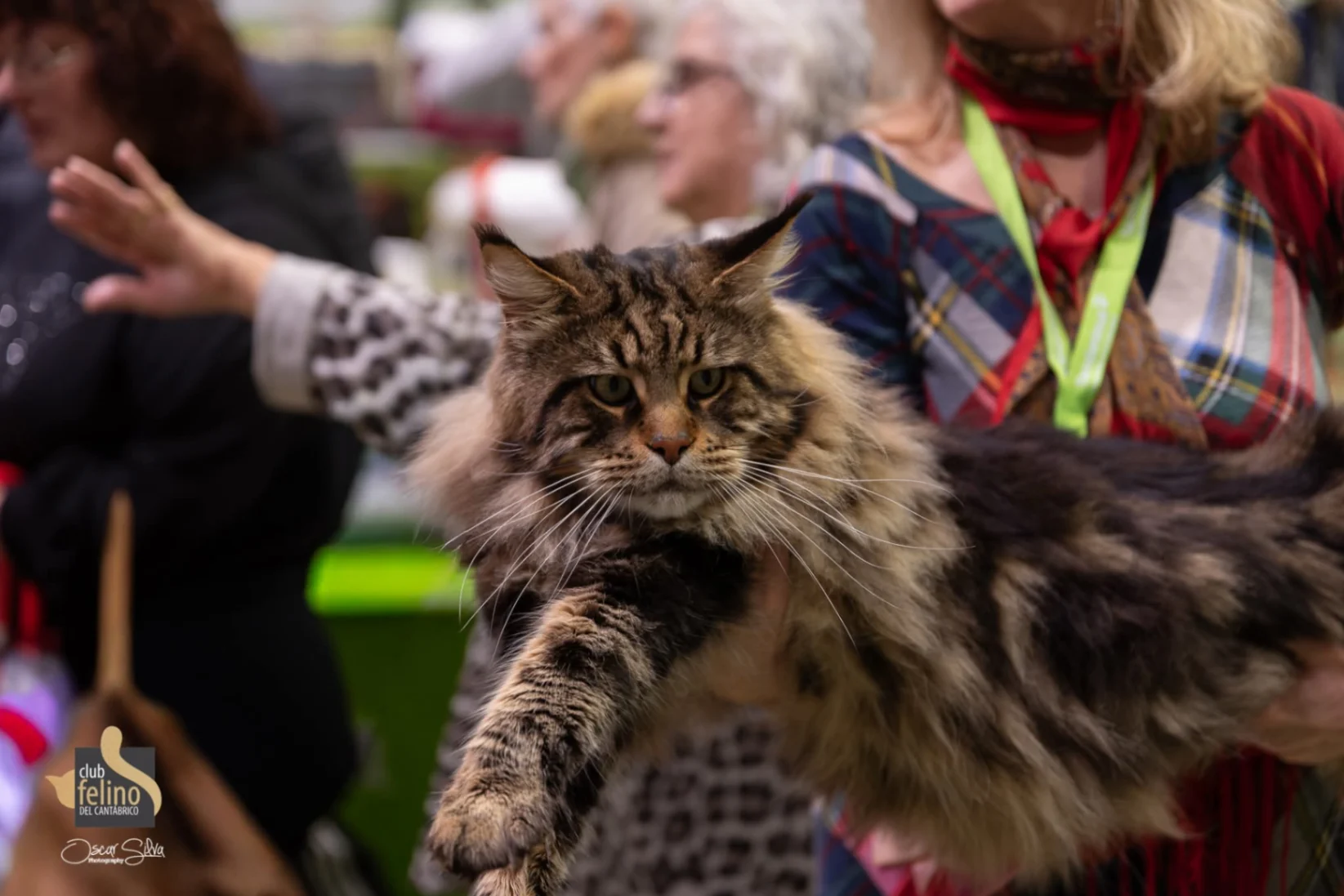 Oskar Volga Pride thumbnail 9