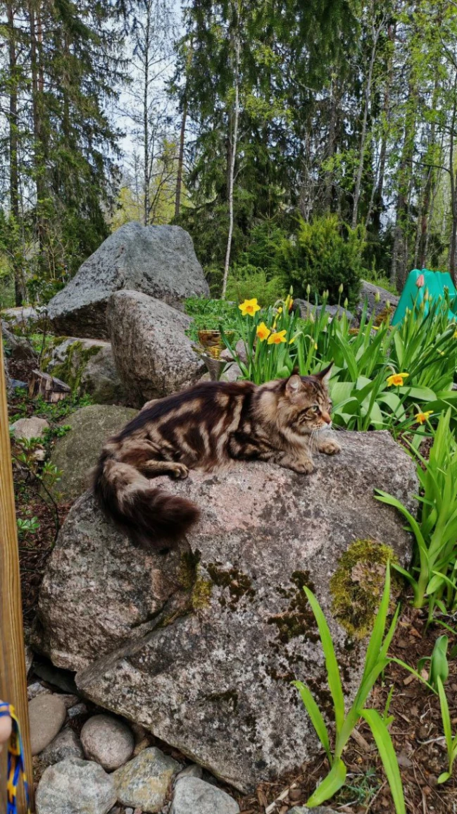 Oskar Volga Pride thumbnail 10