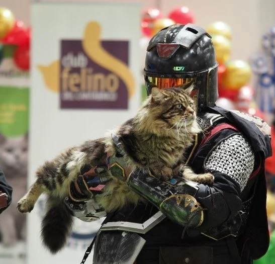 Oskar Volga Pride thumbnail 11