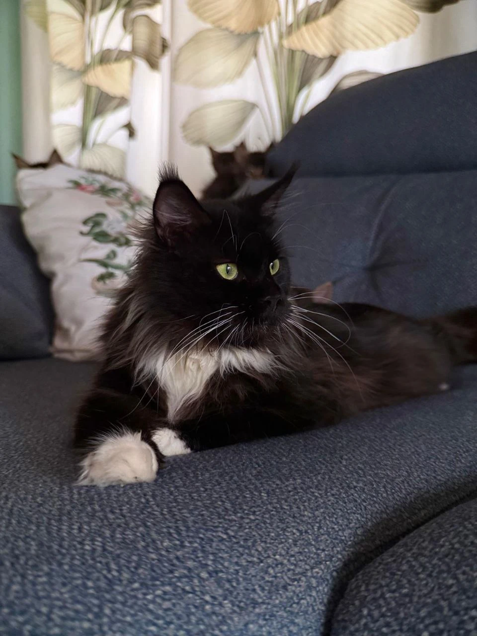 Lada Bonton Pride thumbnail 6