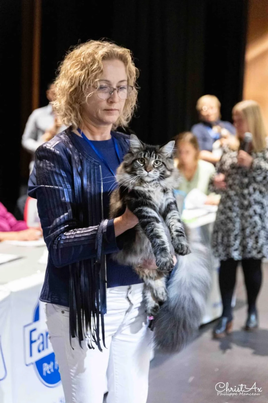 Fortuna Bonton Pride thumbnail 2