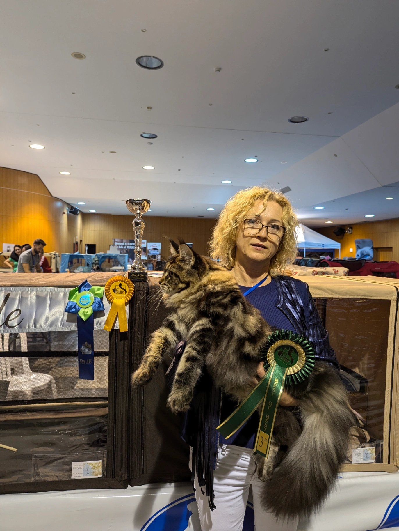 Fortuna Bonton Pride thumbnail 3