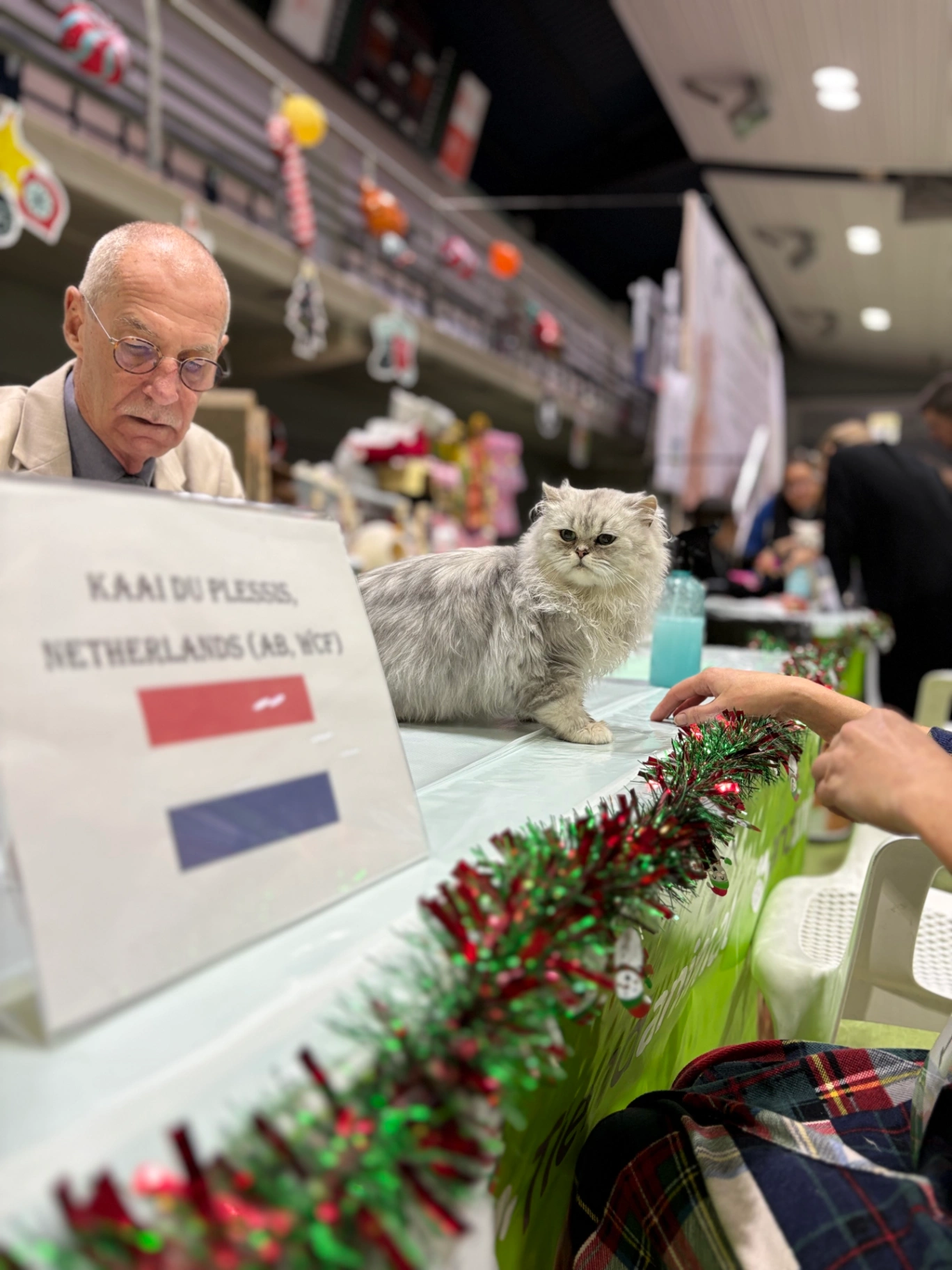 Esmeralda Bonton Pride thumbnail 3